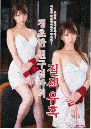 以家人的名义电视剧海报